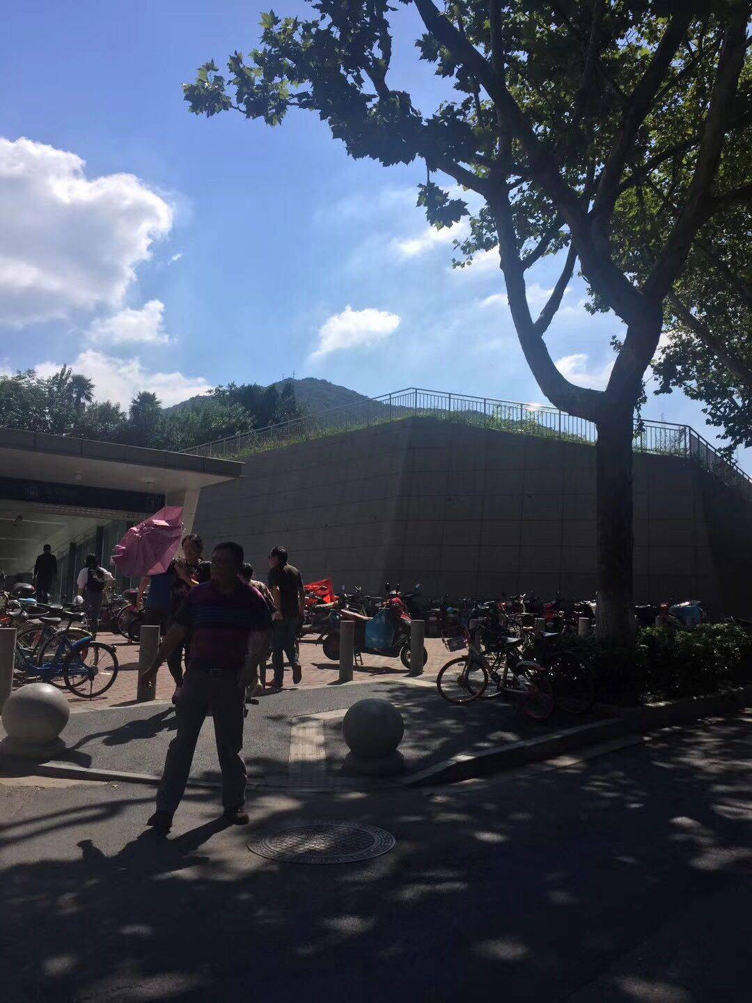 Nanjing-Xuanwu-都是实图实价,南师大 金审学院 金鹰,二号线仙鹤门 学则路站500米,朝南原始主卧独卫 洗衣机,仙林大学城,紫东创意园 徐庄