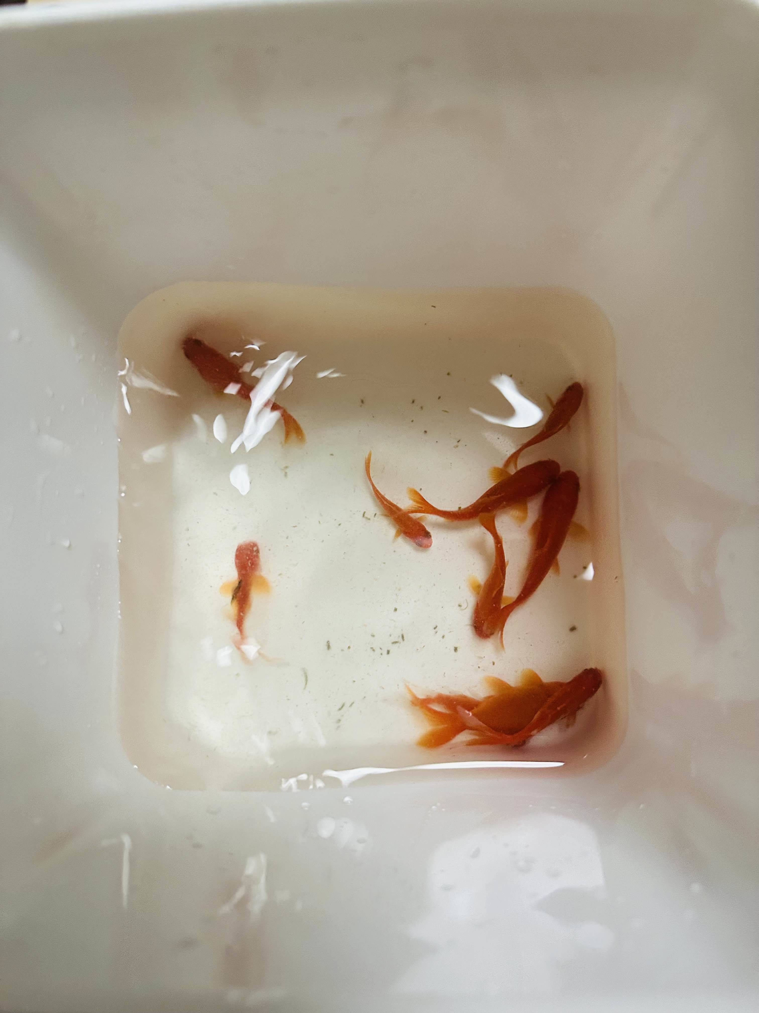 小王