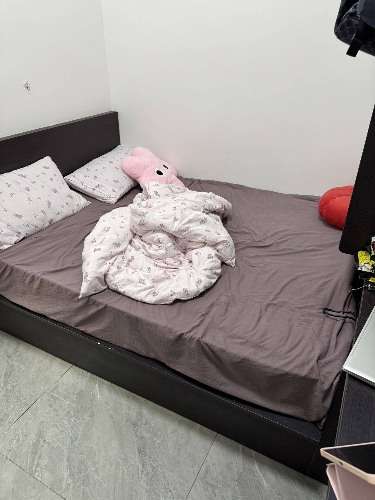 广州-天河-温馨小窝,干净治愈,宠物友好