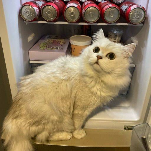 bb