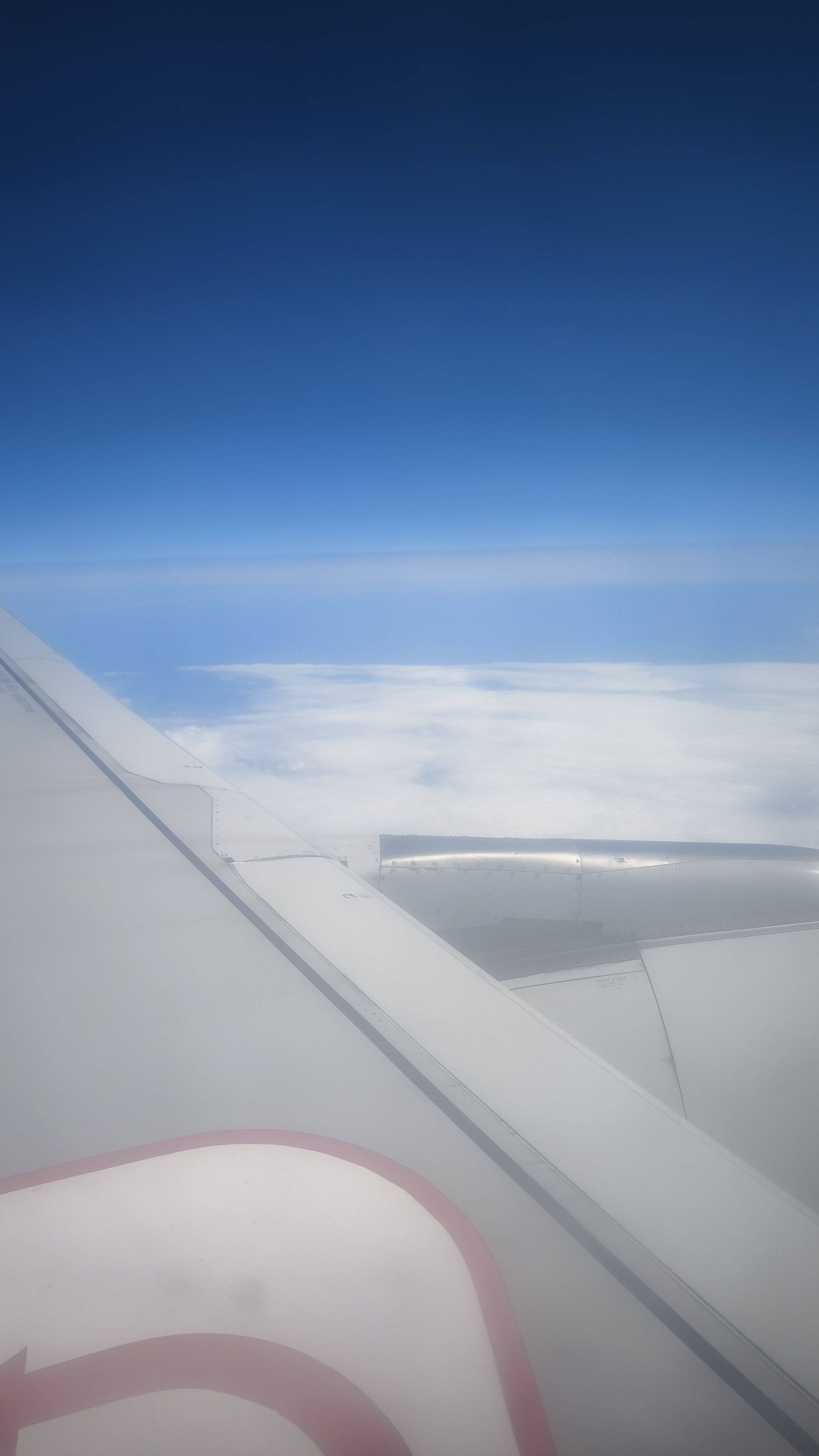 快来快来看一看