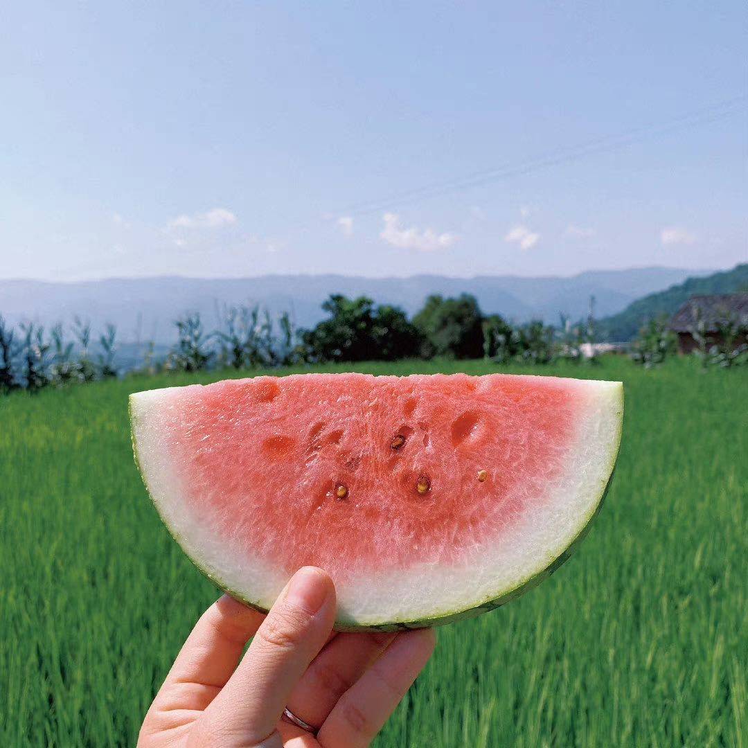 福尔摩斯.丹