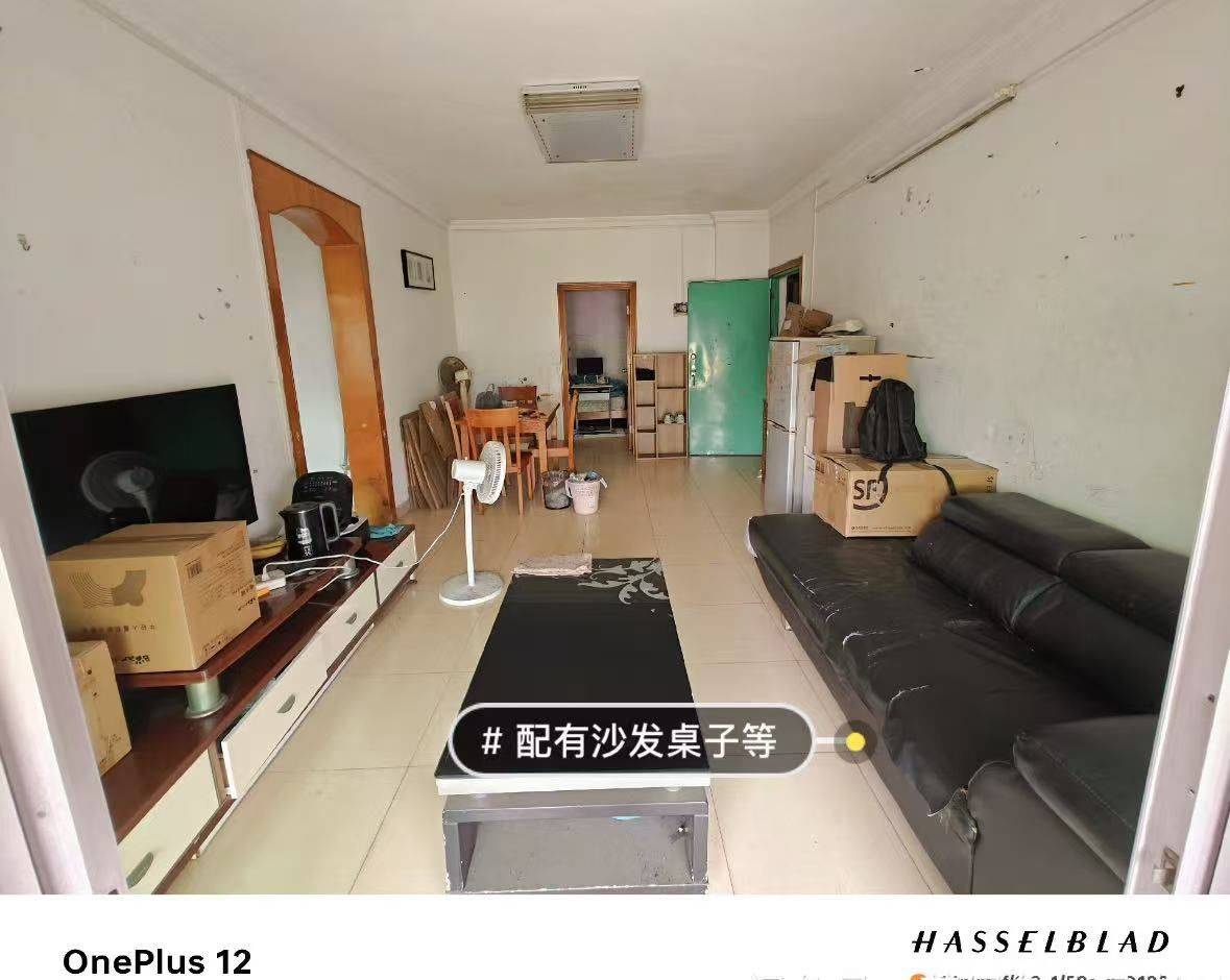 深圳-南山-溫馨小窩,乾淨治愈,不限性別,市井煙火氣,LGBTQ友好,寵物友好