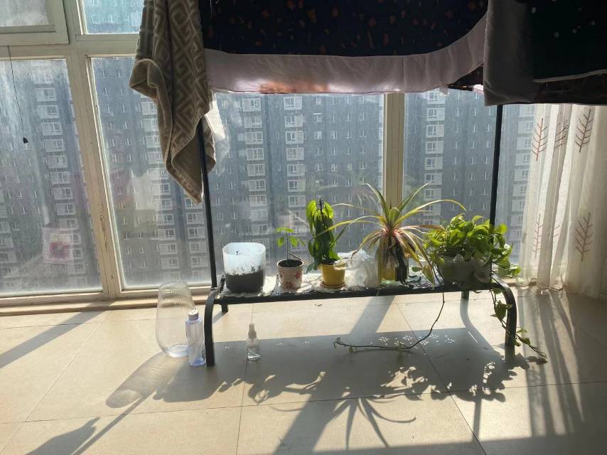 Beijing-Tongzhou-Cozy Home,Clean&Comfy,“Friends”,Chilled