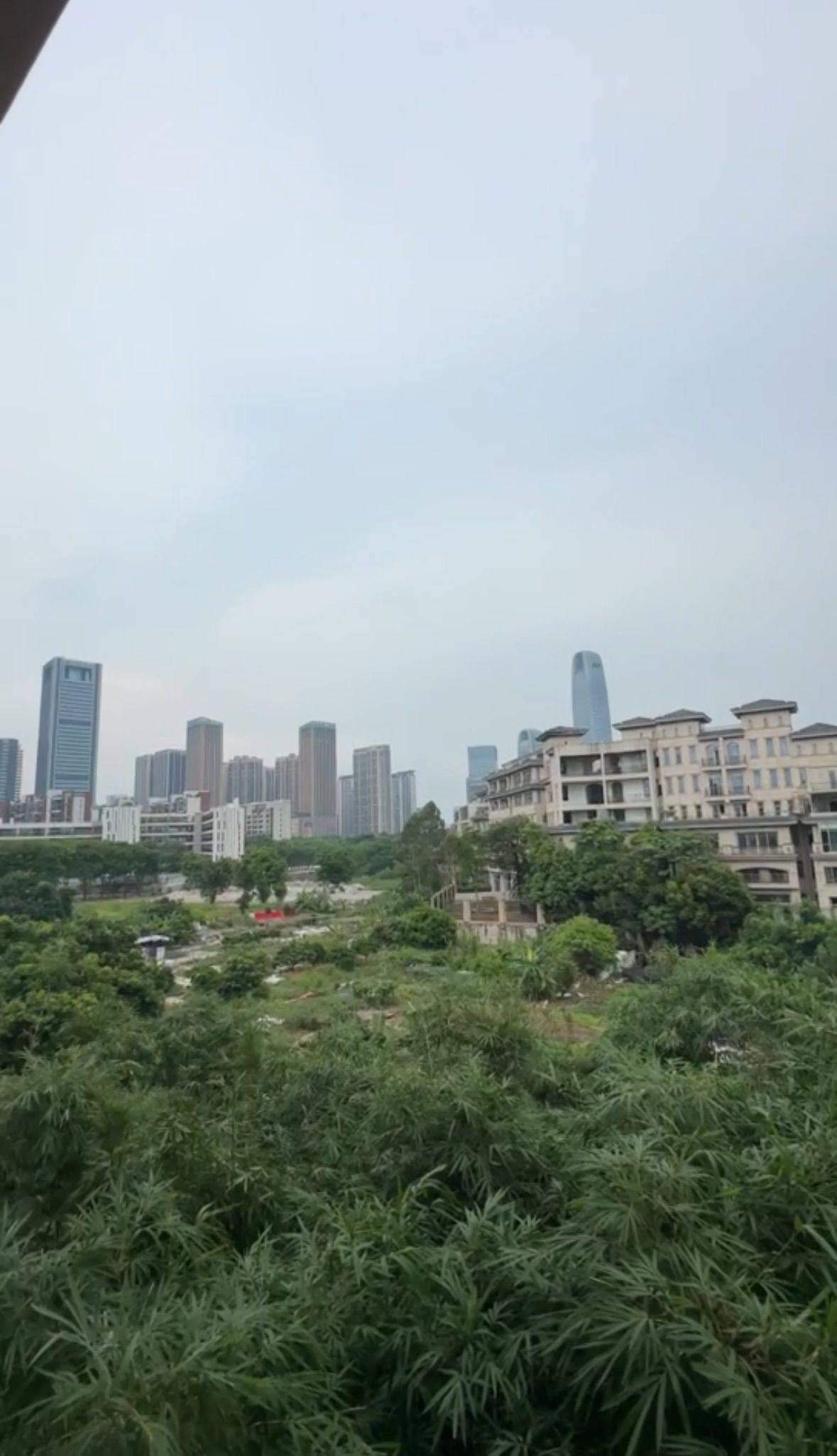 Guangzhou-Haizhu-Cozy Home,Clean&Comfy,No Gender Limit,Hustle & Bustle,“Friends”,Chilled