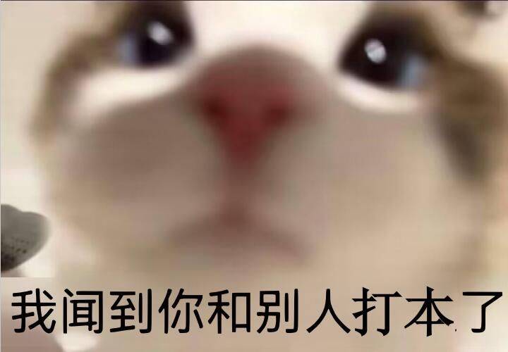 好耶