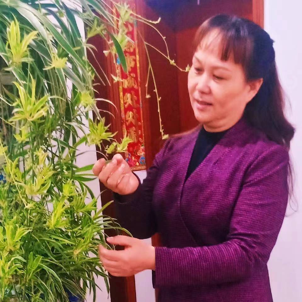 汶伽