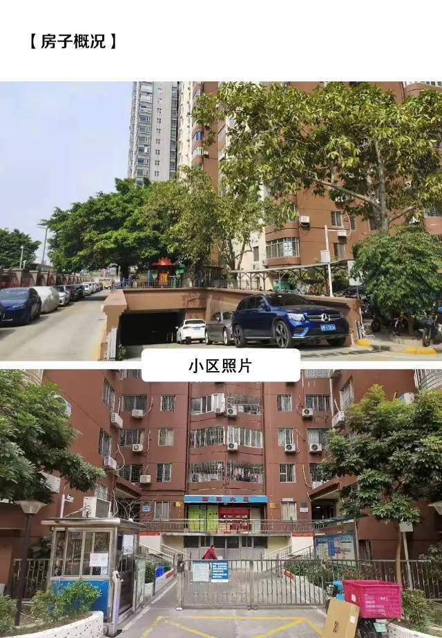 Shenzhen-Nanshan-Cozy Home,Clean&Comfy,No Gender Limit