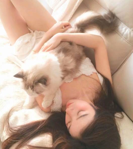 小小懿