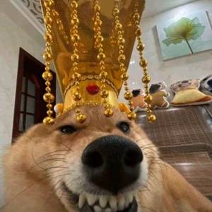 只想赶紧找合租人