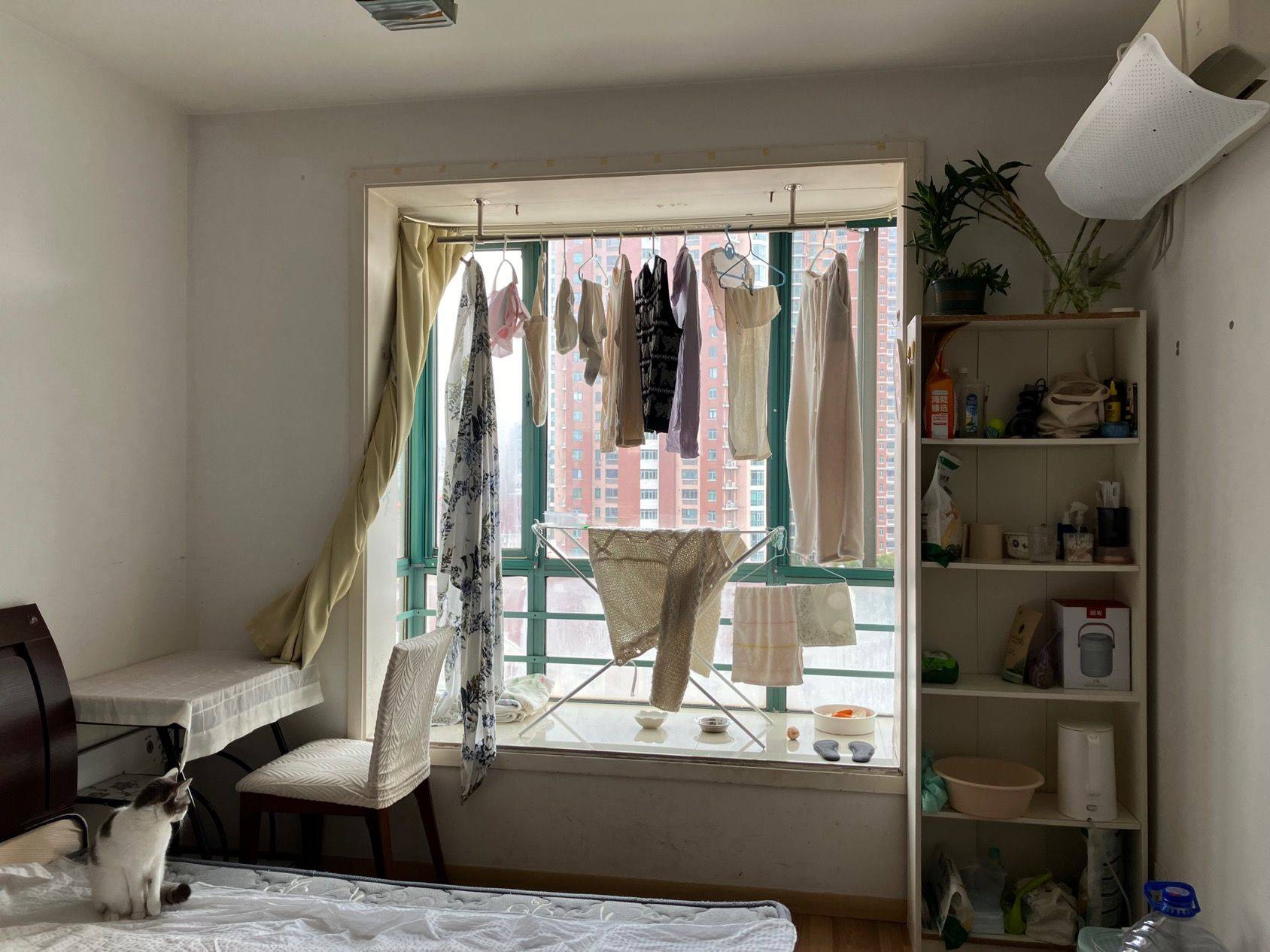 Shanghai-Changning-Cozy Home,Clean&Comfy,No Gender Limit,Hustle & Bustle,Chilled,Pet Friendly