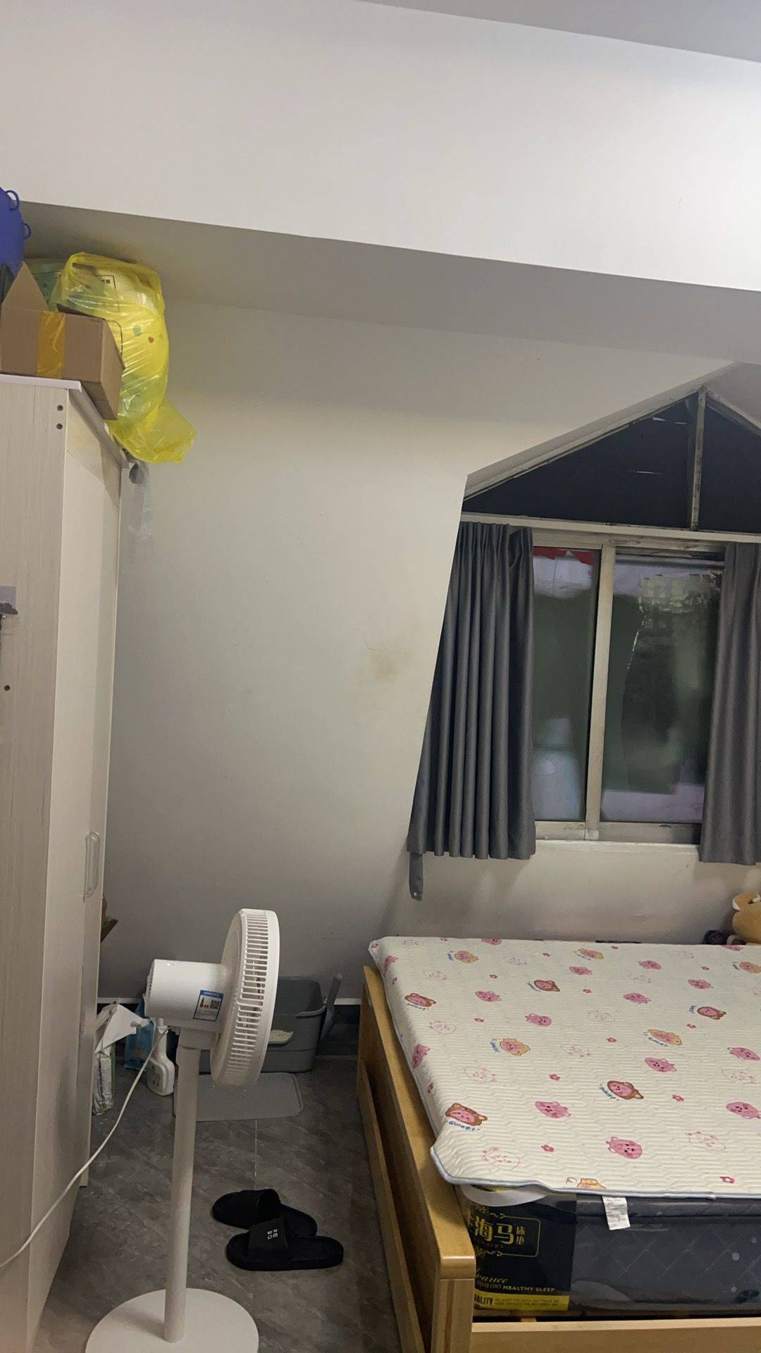 三亚-天涯-33RMB/晚,溫馨小窩,乾淨治愈,不限性別,市井煙火氣,寵物友好