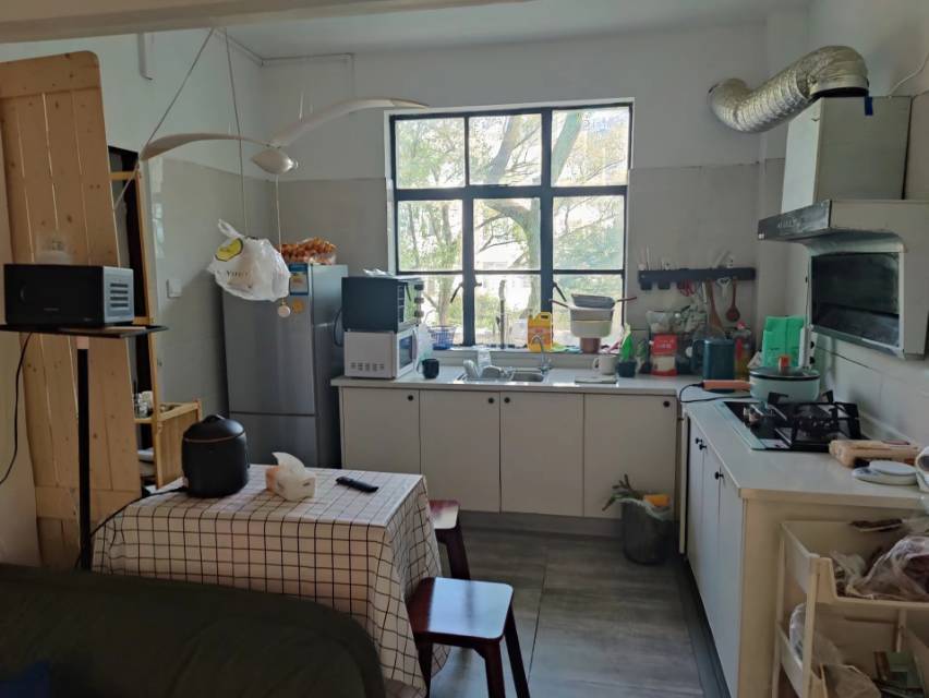 儿子不白（养）杨先生整租房源2