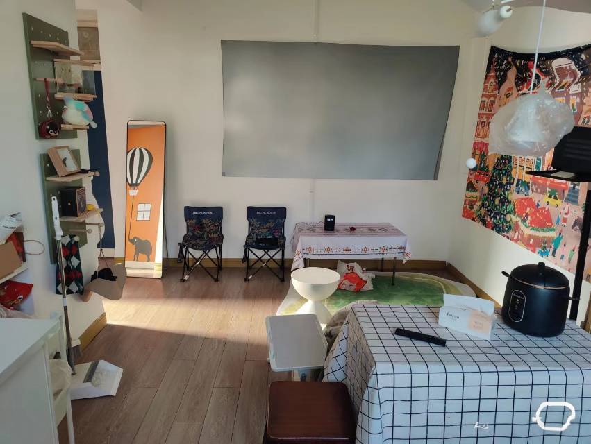 儿子不白（养）杨先生整租房源1