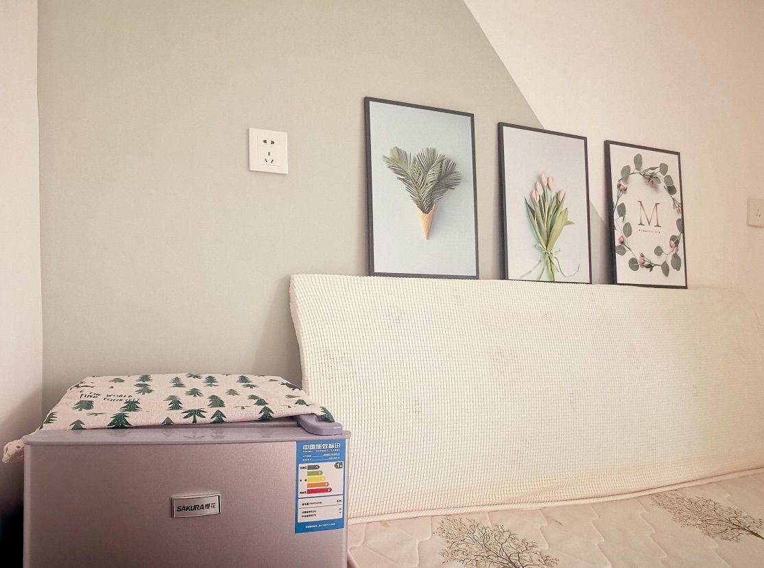 Shanghai-Jiading-女生合租,Cozy Home,Clean&Comfy,Hustle & Bustle,“Friends”