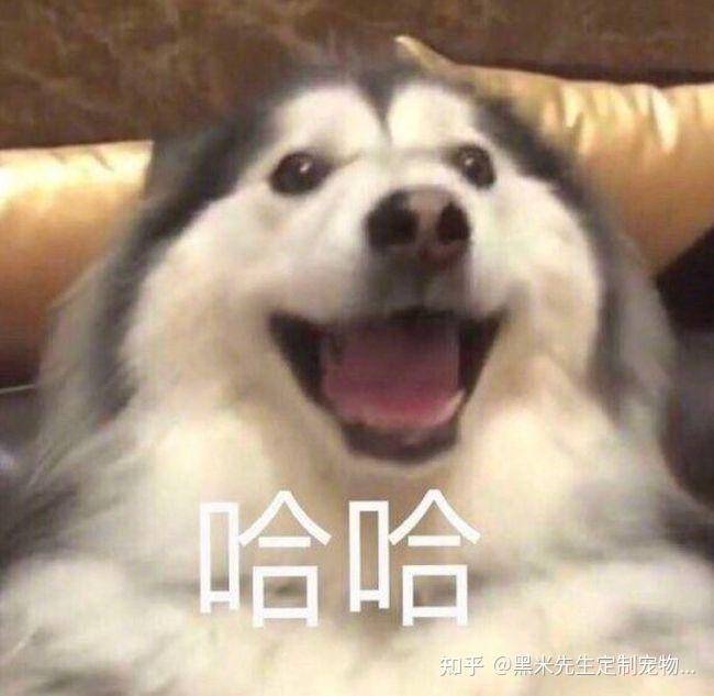 茉莉拿铁维尼酱