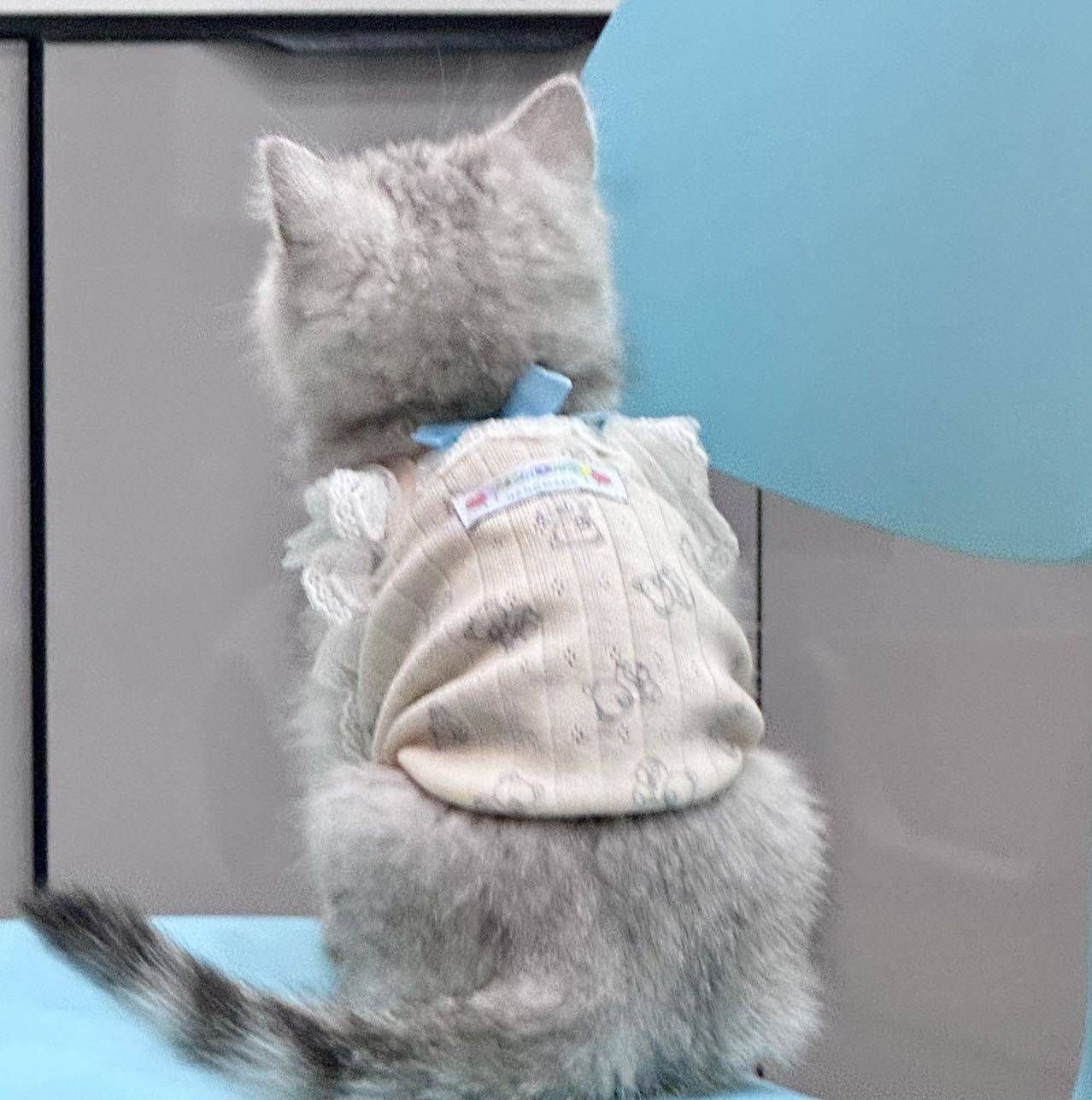 苏西