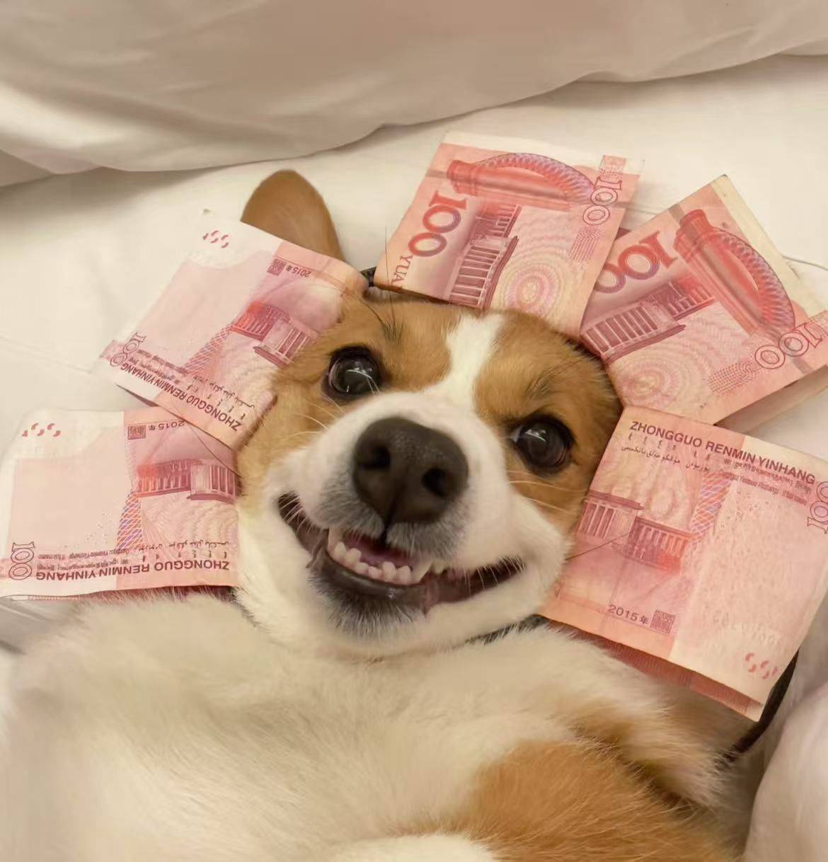 琦