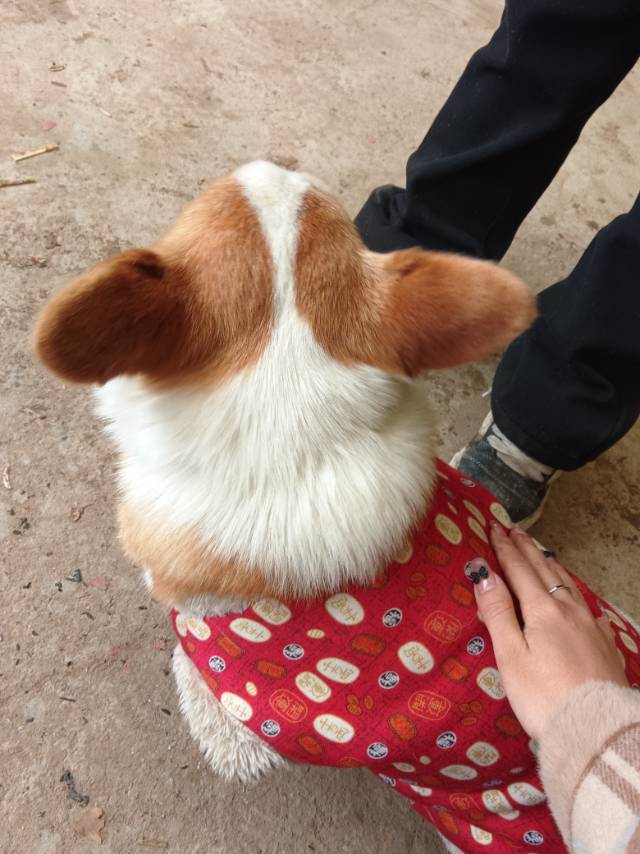 梦梦萌吖~