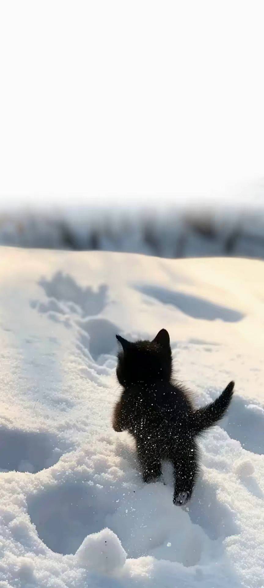 臭臭