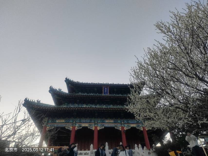心怡