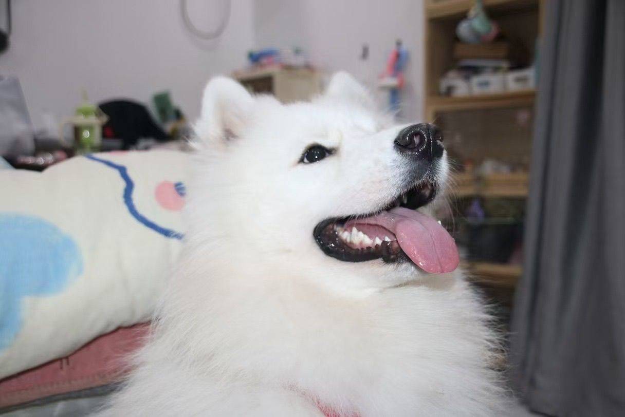 编织绳