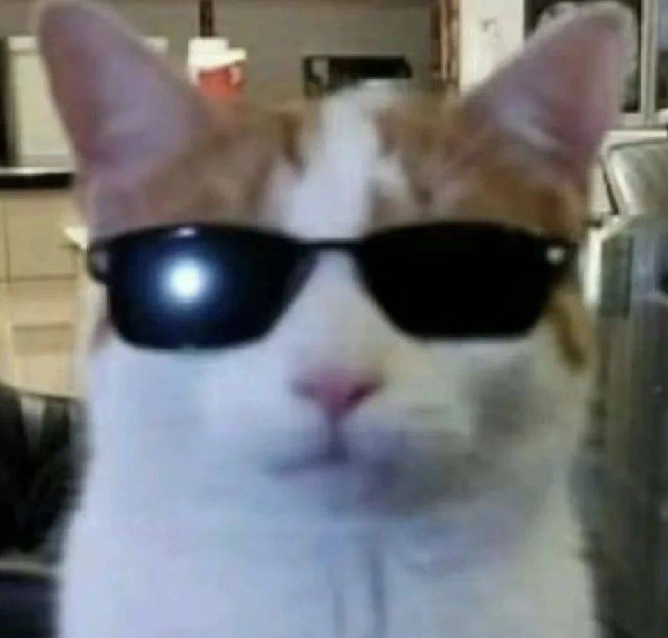 hh
