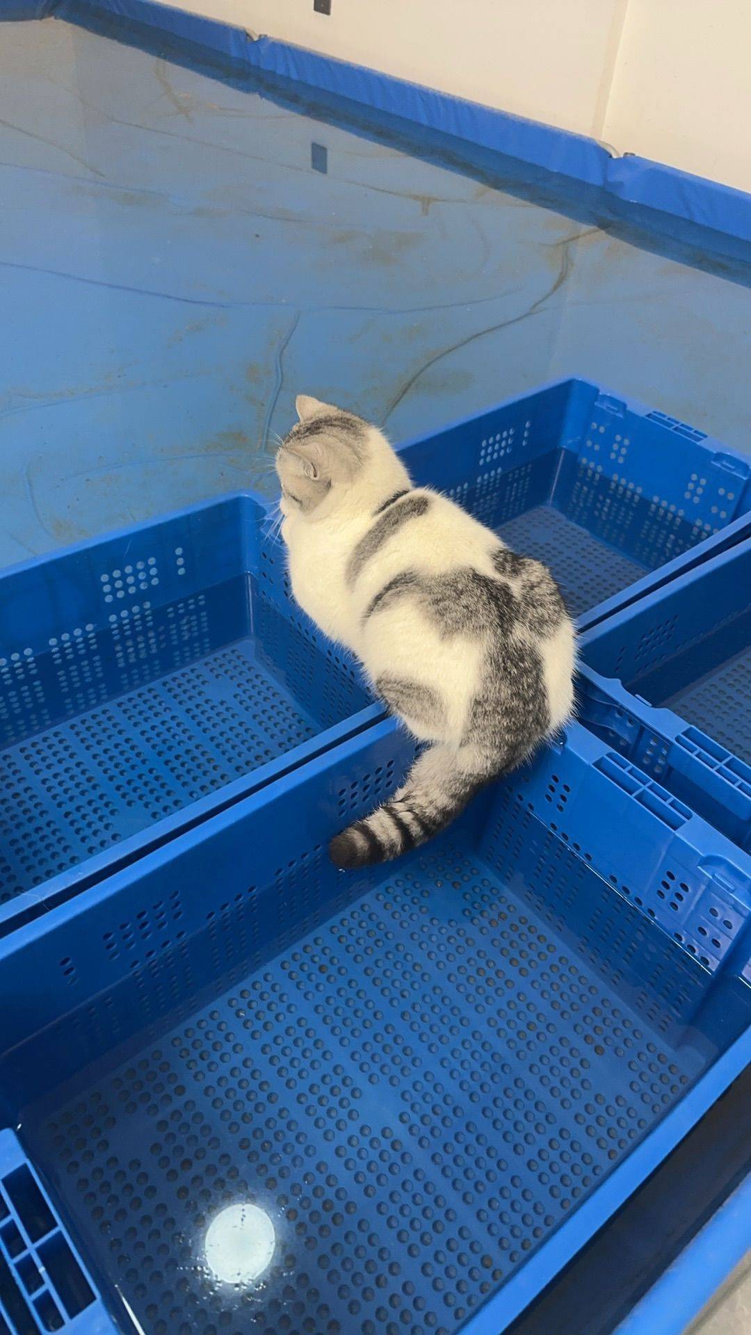 一心赚钱邱嗨嗨