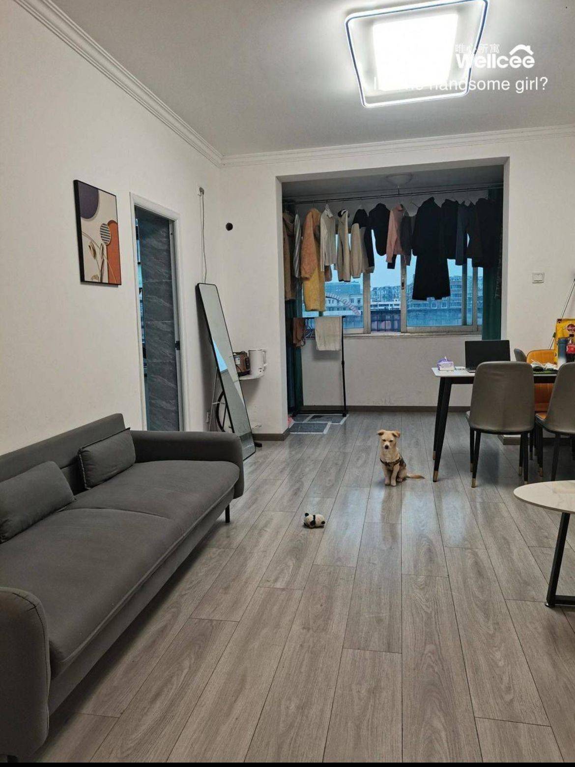 Chengdu-Wuhou-Cozy Home,Clean&Comfy,Pet Friendly