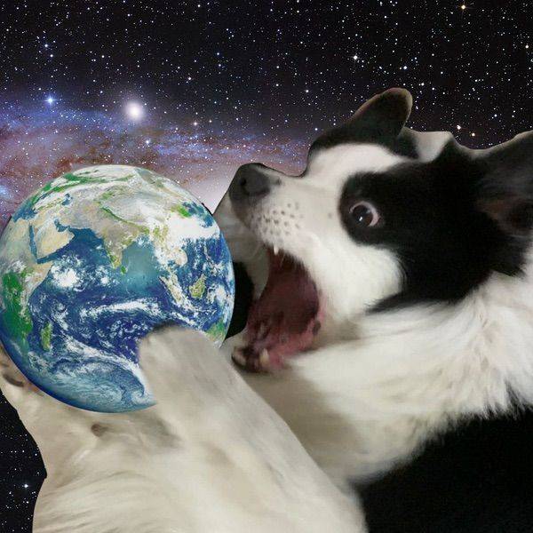 WongLapyip