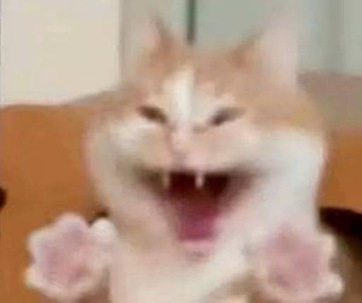 。。