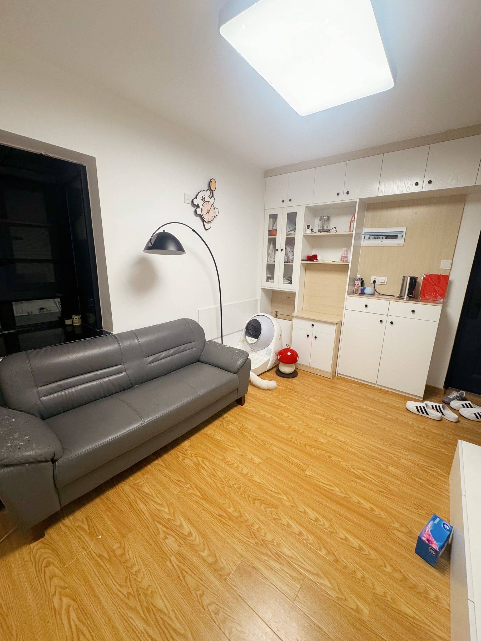 及时行乐整租房源1