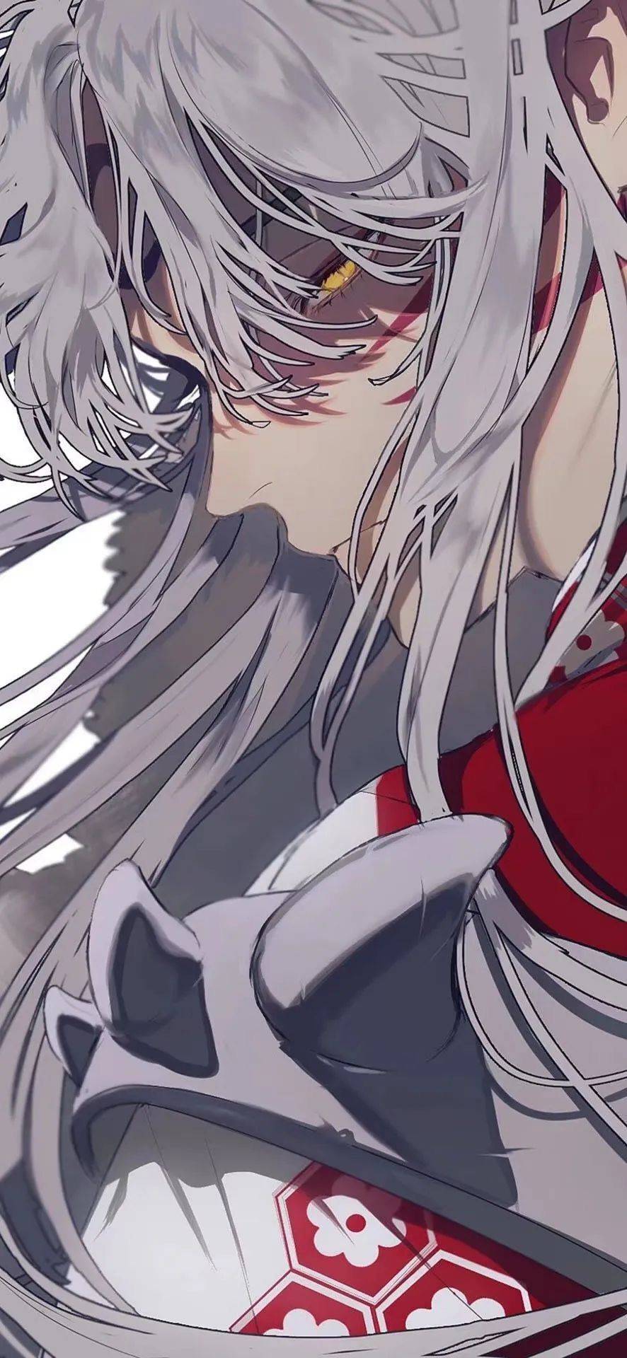 毛毛