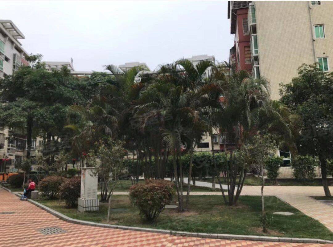 厦门-湖里-溫馨小窩,乾淨治愈,不限性別,市井煙火氣,老友記,慢時光,LGBTQ友好,寵物友好