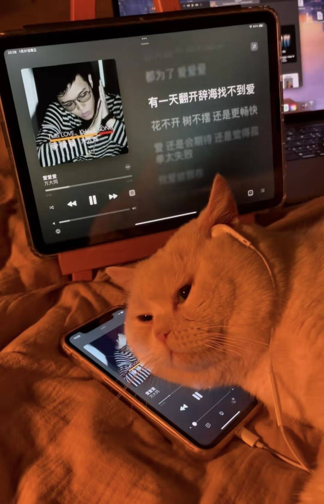 ㅇㅁㅇ