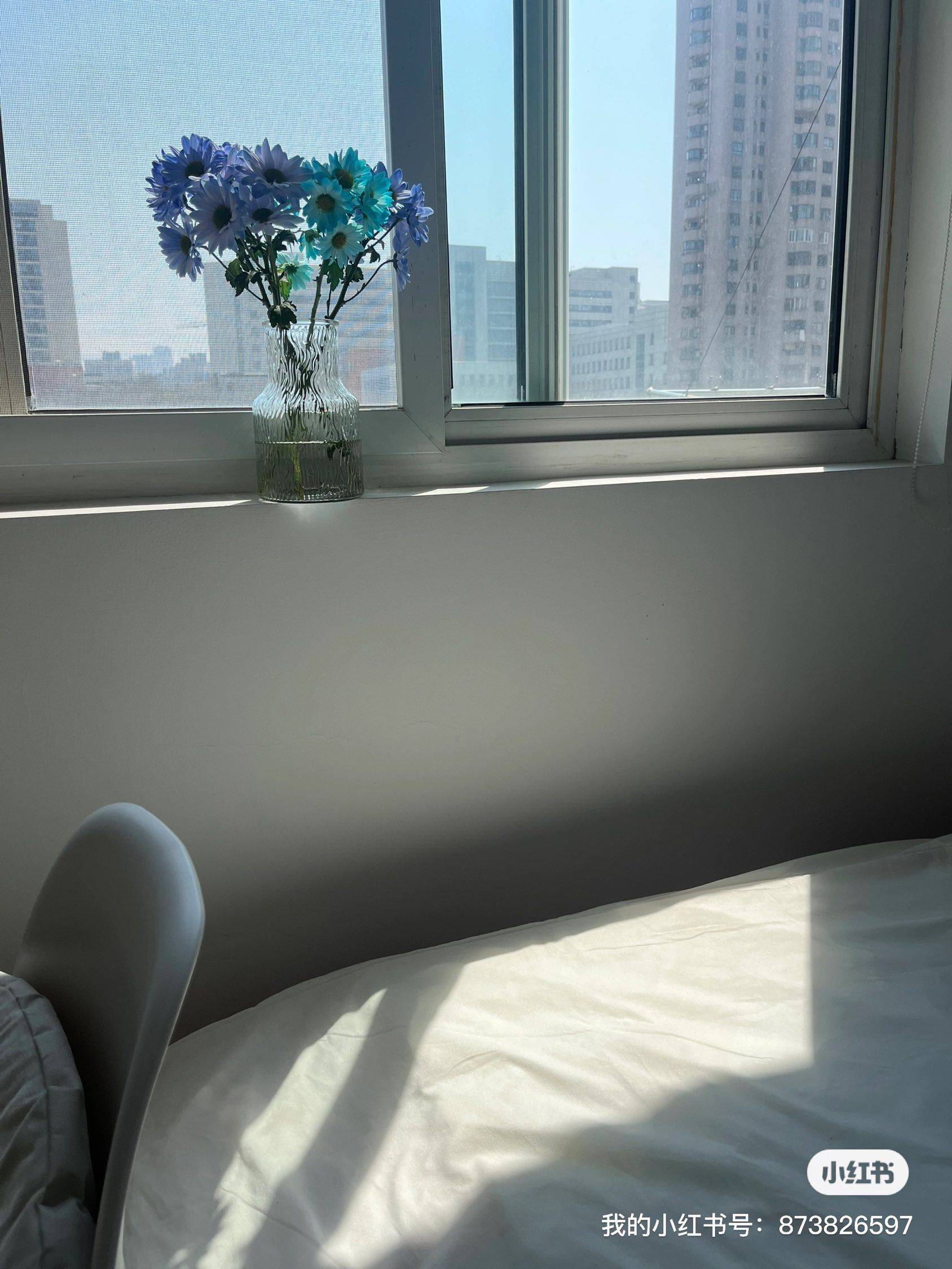 Shanghai-Xuhui-上班族首选,Cozy Home,Clean&Comfy,No Gender Limit