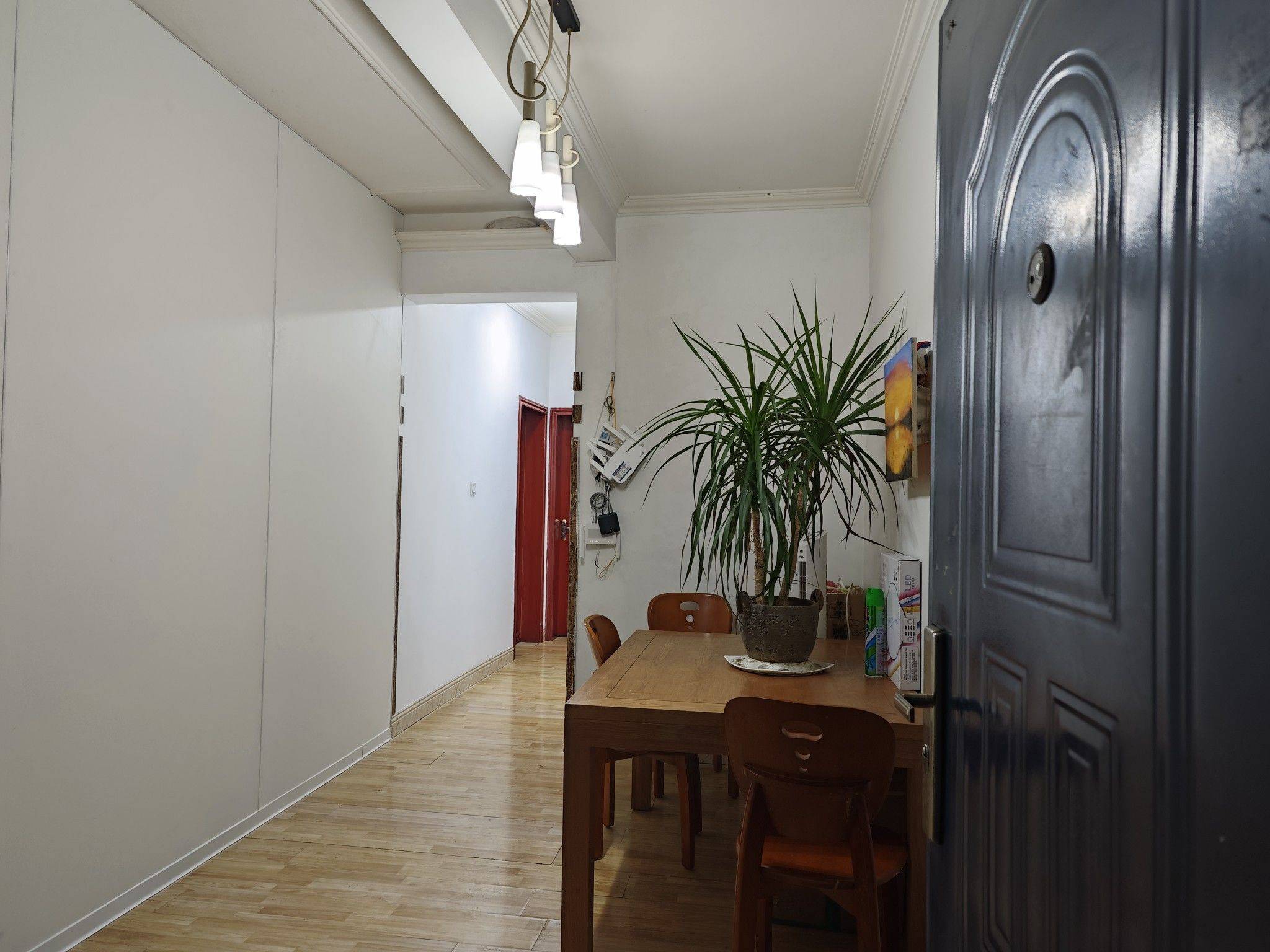 Chengdu-JinJiang-Pet Friendly