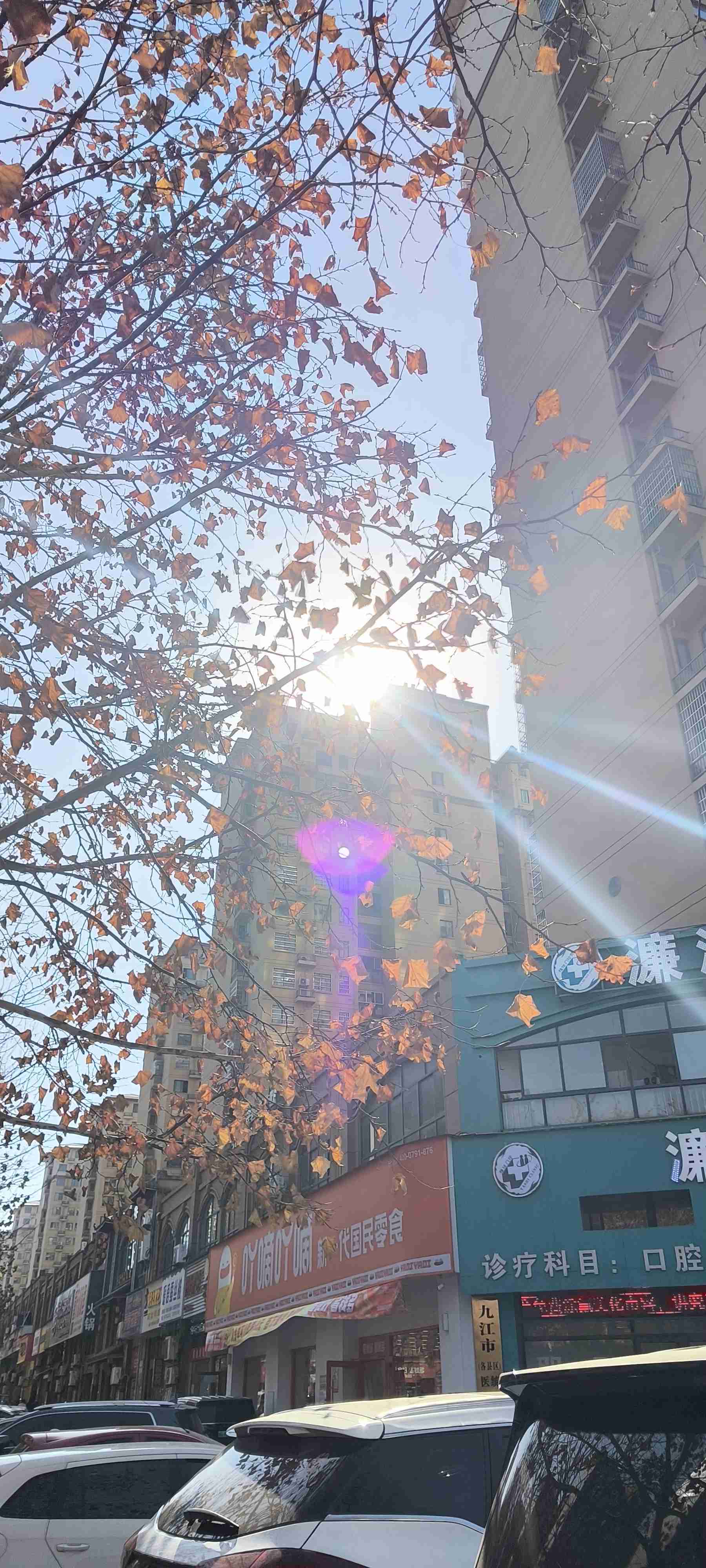 老杨