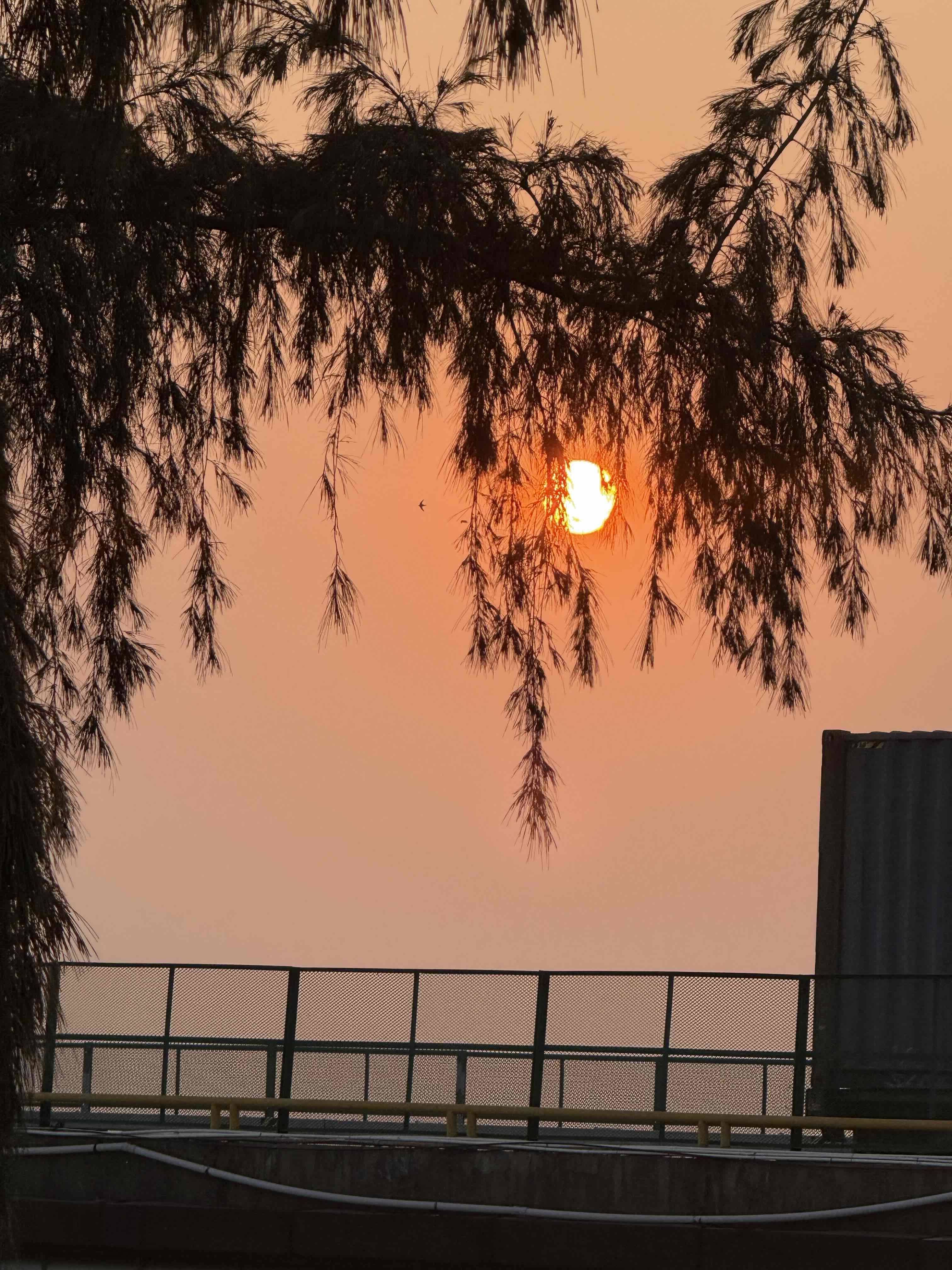 果果果果