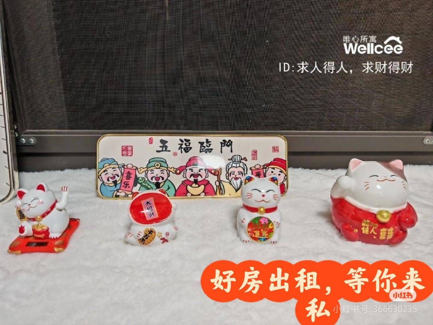 长沙-星沙-温馨小窝,干净治愈,不限性别,宠物友好