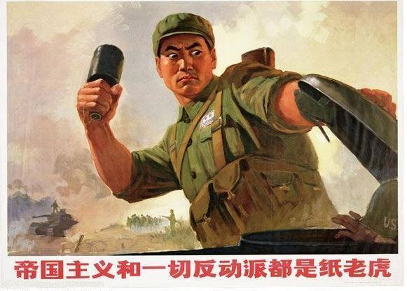 杨1
