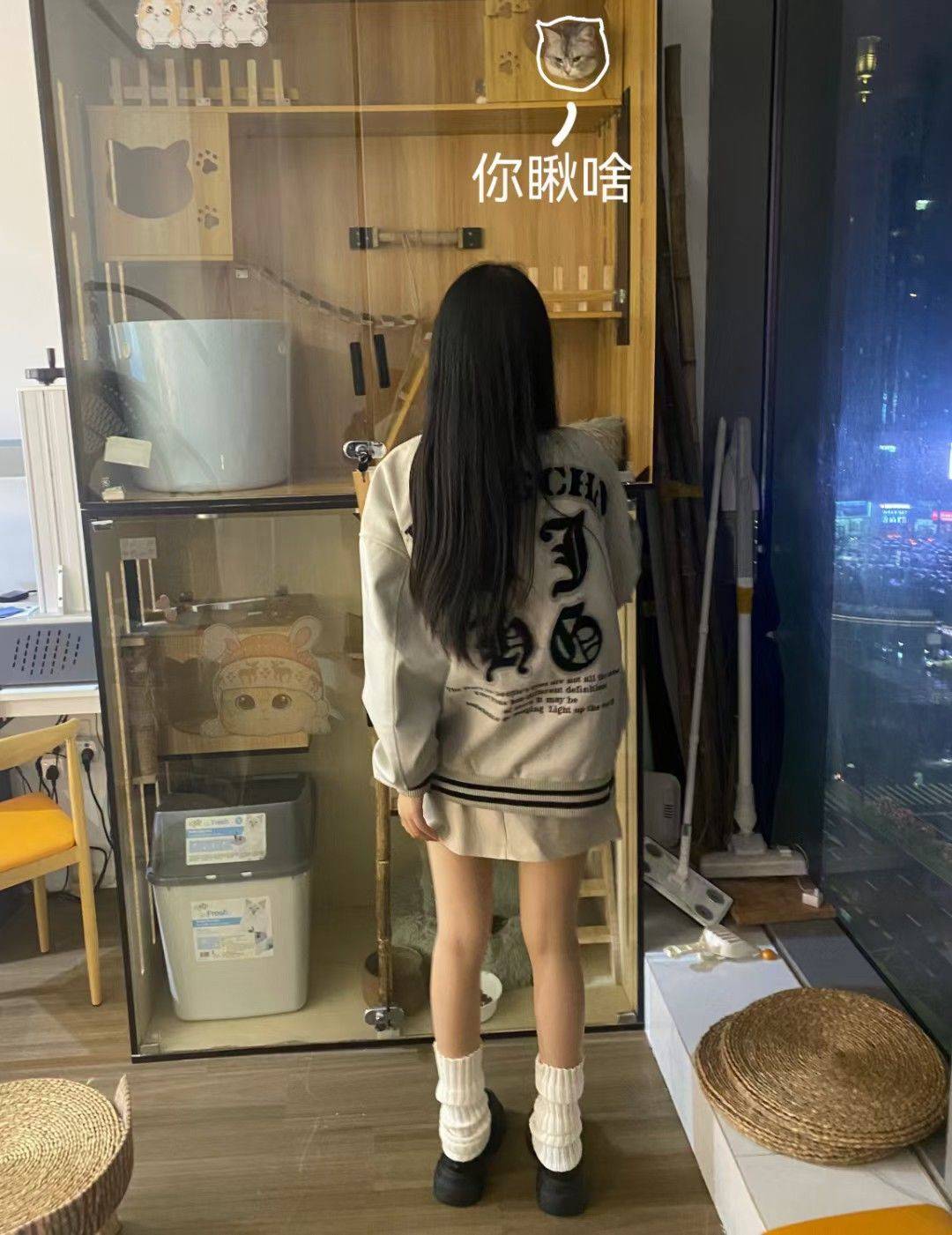 爱吃玫瑰的猫(急转租)