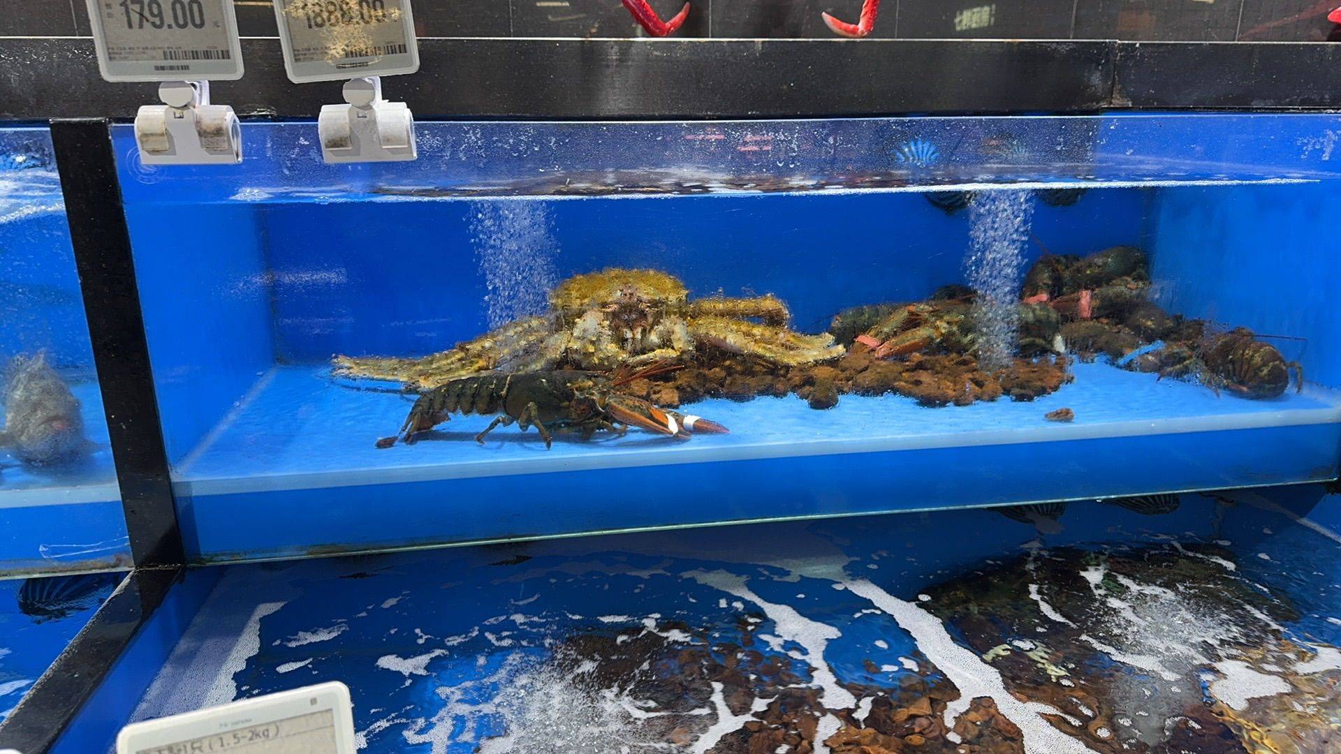 惜梦