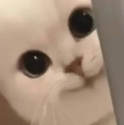钟俞