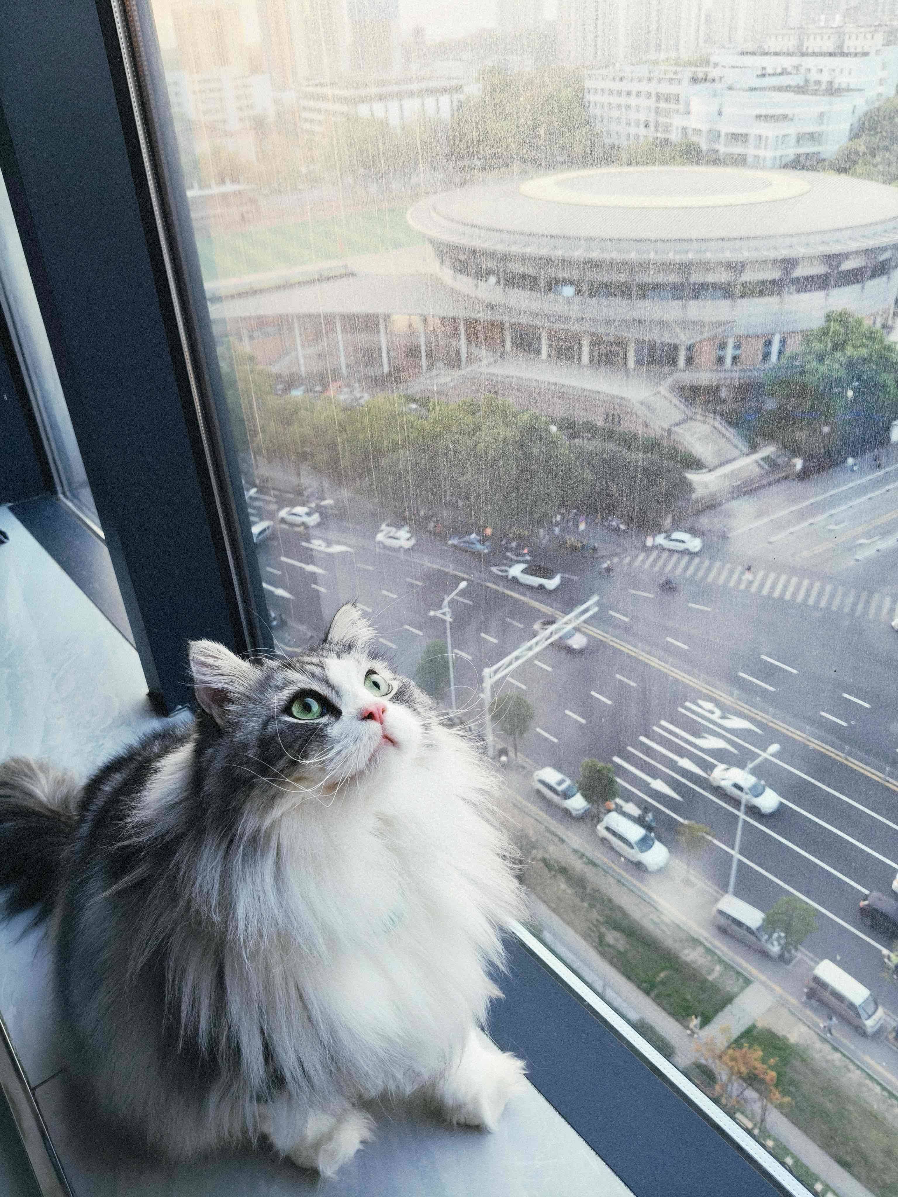 何念然