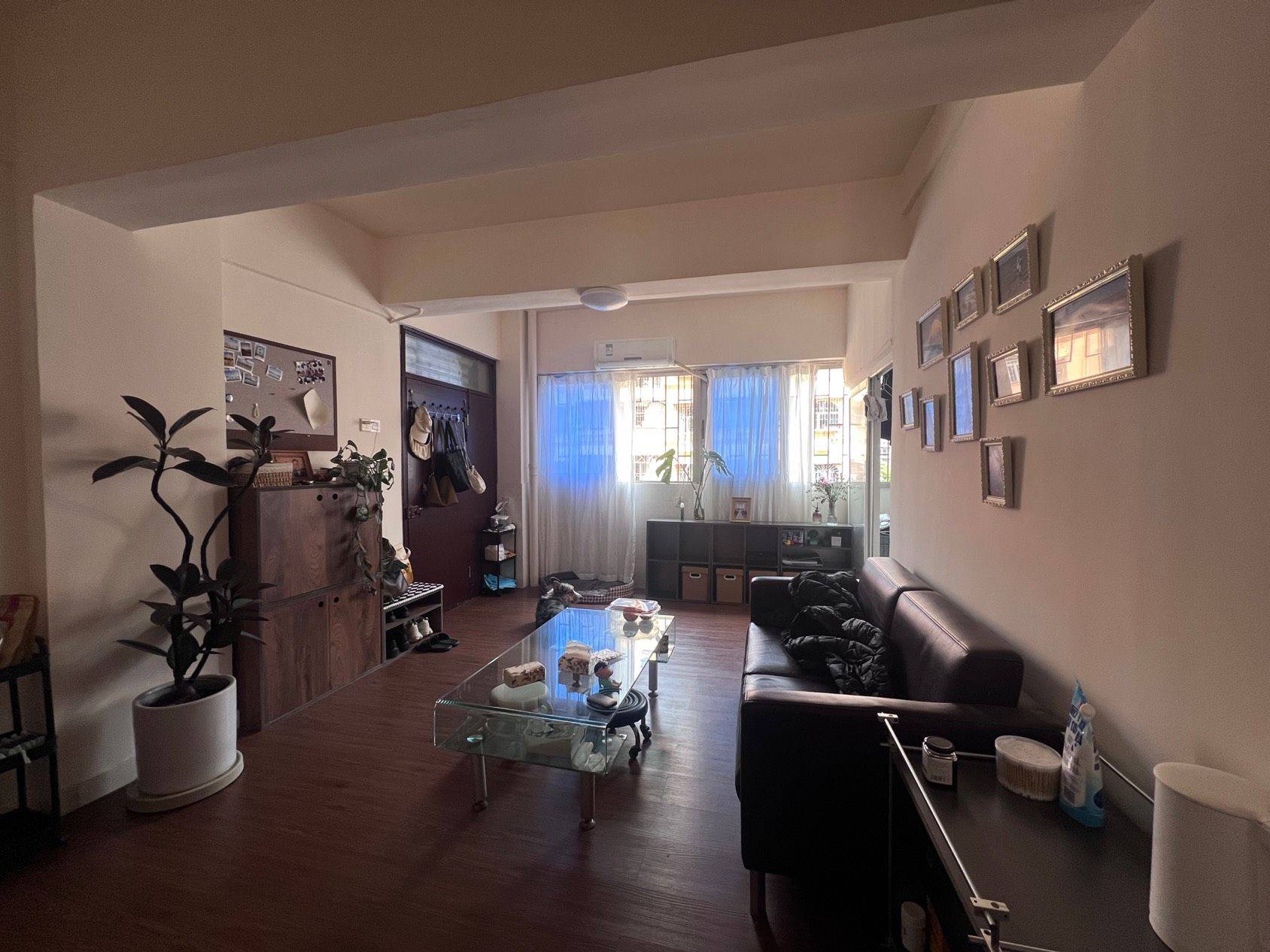 Shenzhen-Nanshan-Cozy Home,Clean&Comfy,Hustle & Bustle,Pet Friendly