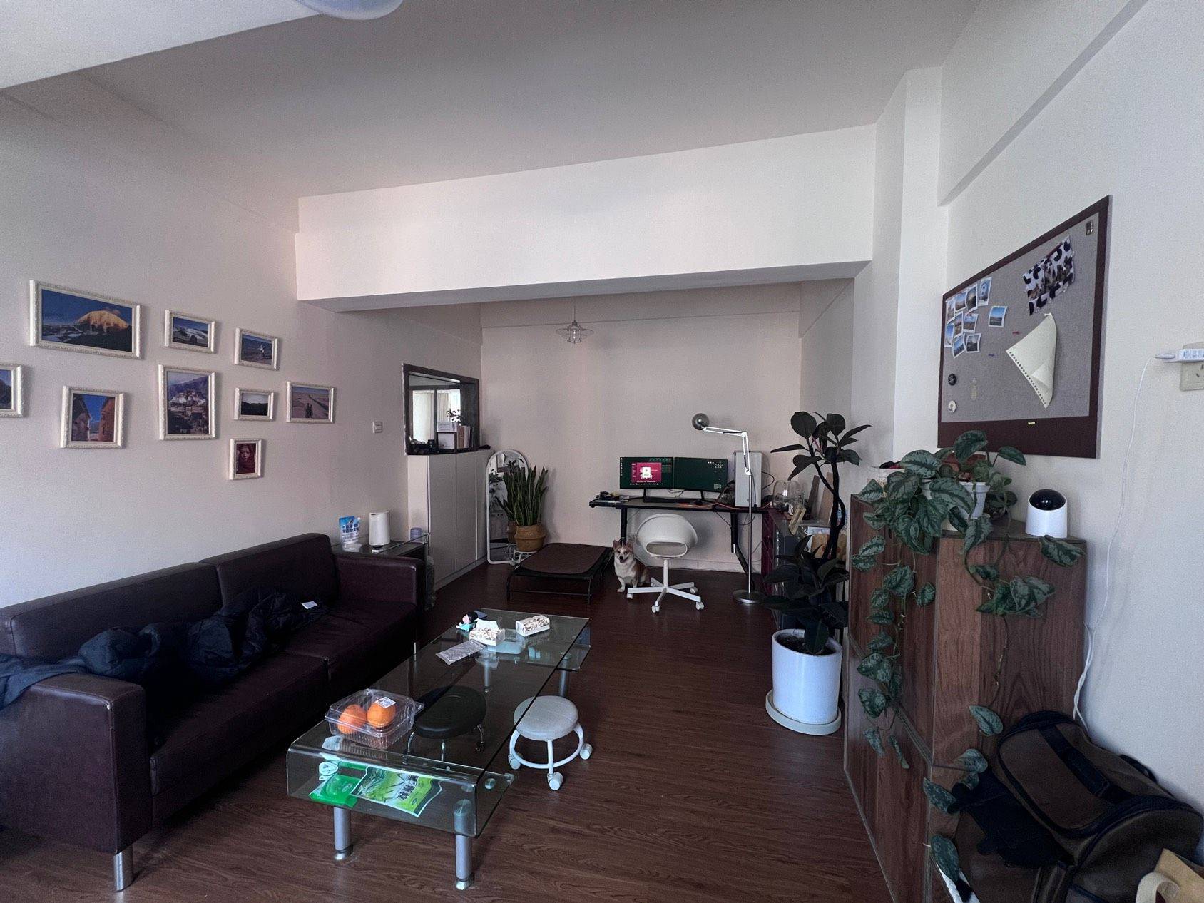 Shenzhen-Nanshan-Cozy Home,Clean&Comfy,Hustle & Bustle,Pet Friendly