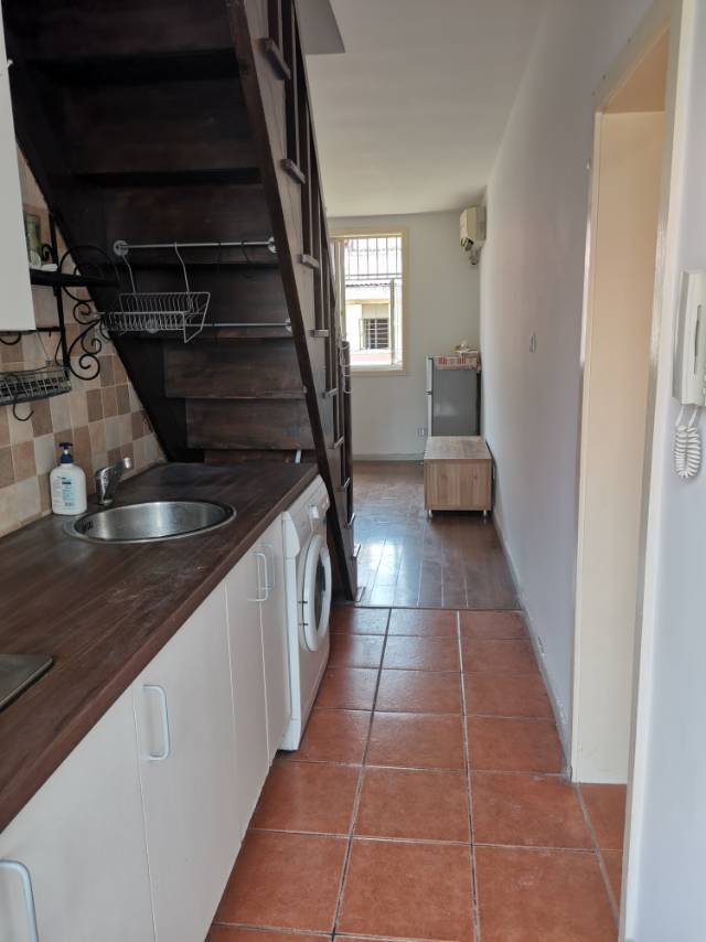 Shanghai-Yangpu-Pet Friendly
