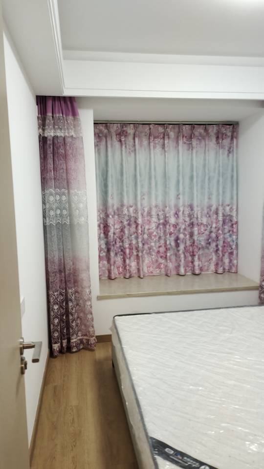 南昌 南昌县 | 江铃新力铂萃中央_7