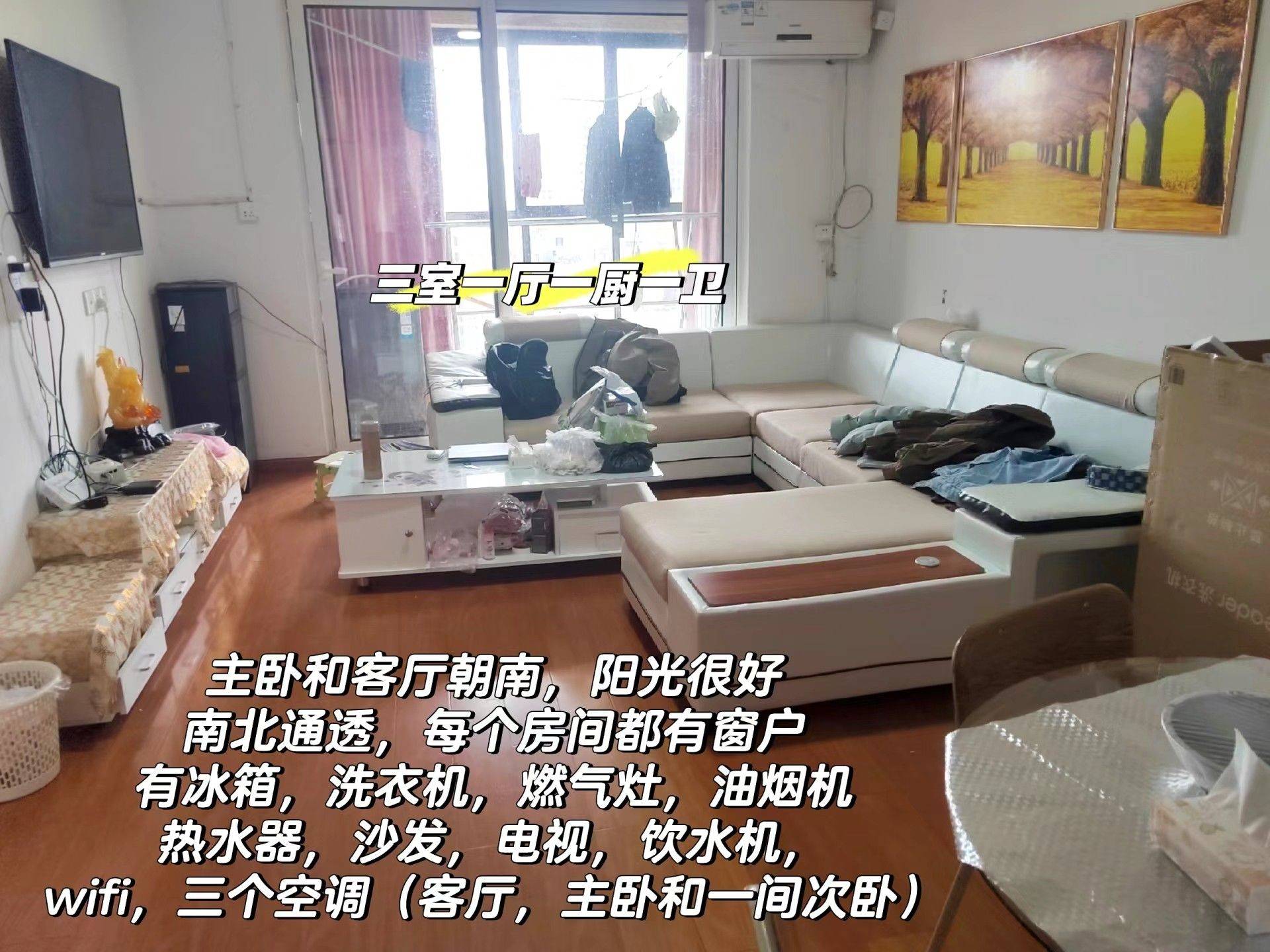 Ningbo-Zhenhai-Clean&Comfy,No Gender Limit,Pet Friendly